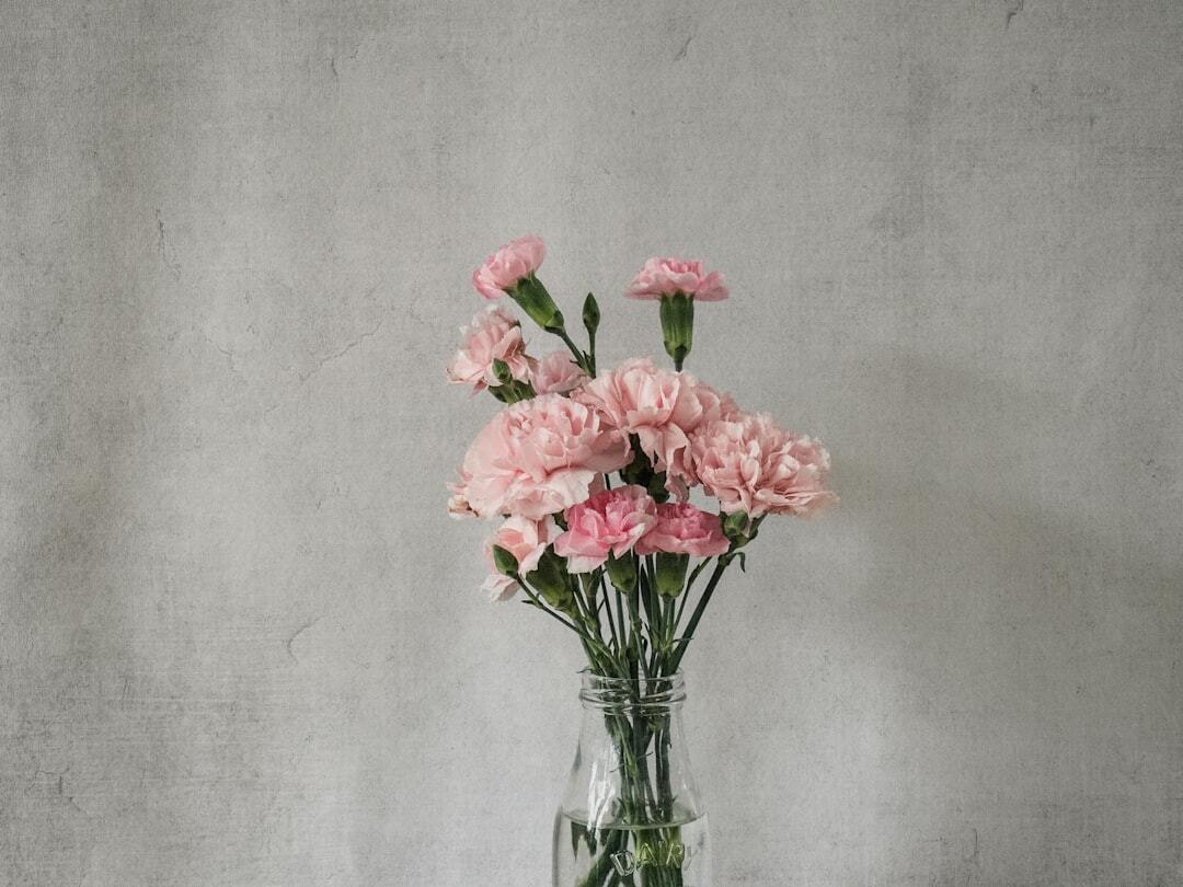 Photo by Debby Hudson / Unsplash